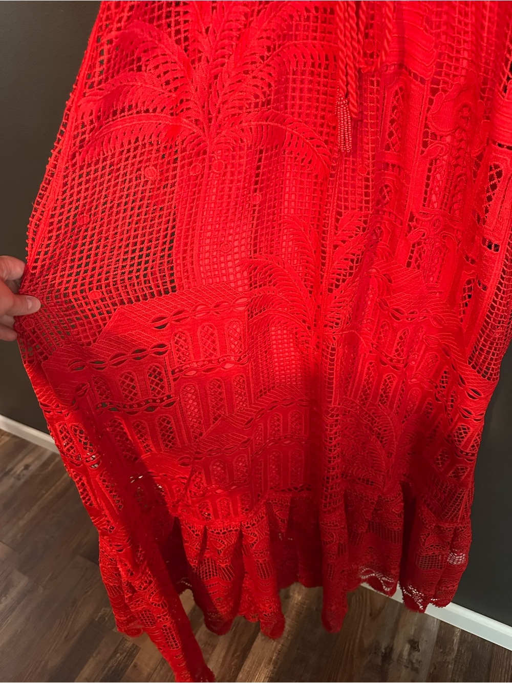 FARM Rio Red Morada Boa Guipure Maxi Dress - Picture 8 of 9